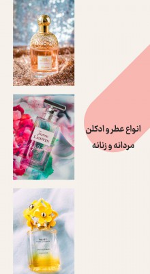 پیش‌نمایش قالب قالب استوری عطر و ادکلن