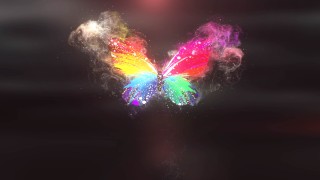 قالب لوگو موشن پروانه رنگارنگ