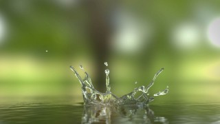 قالب لوگو موشن قطره آب