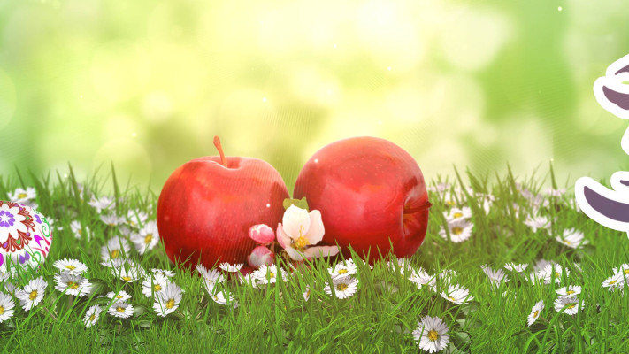 پیش‌نمایش قالب قالب تیزر تبریک عید نوروز